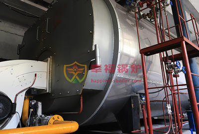 Huaqing Group -10 тонн газовый конденсационный котел WNS 2 комплекта